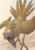 Brauner Chocobo