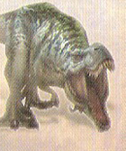 Wildsaurus
